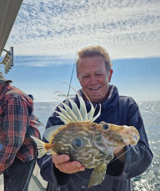 1 lb 3 oz John Dory by Chris