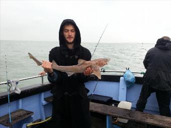 6 lb Smooth-hound by Josh