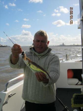 1 lb 2 oz Whiting by Unknown