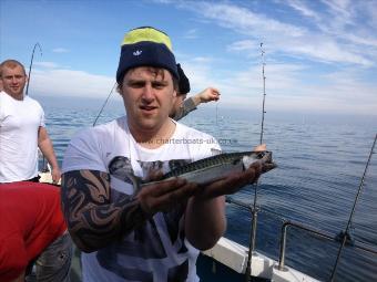 1 lb Mackerel by john Blair