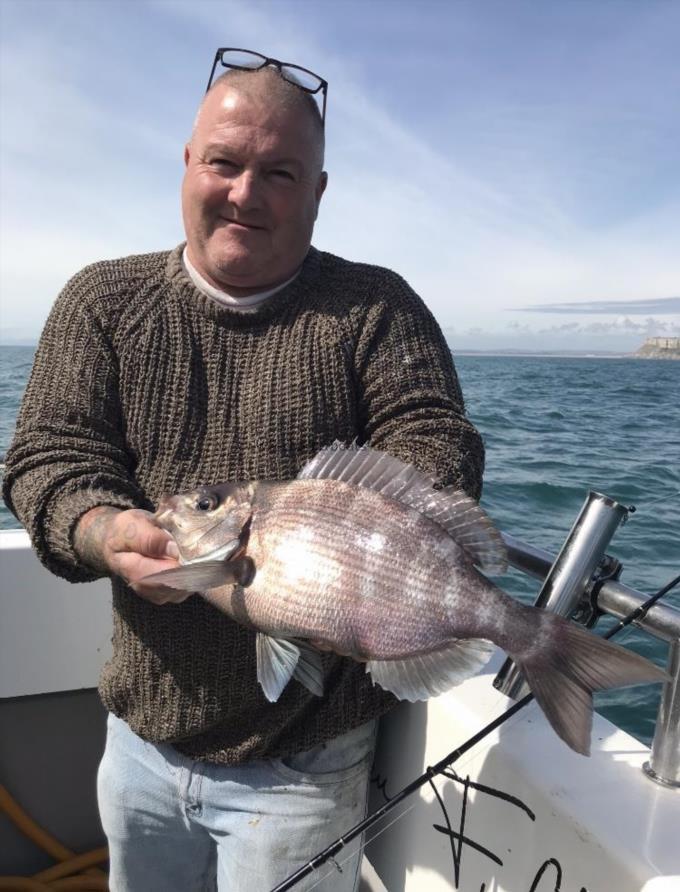 3 lb Black Sea Bream by Unknown