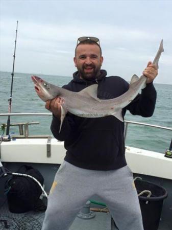 14 lb 7 oz Smooth-hound by Unknown