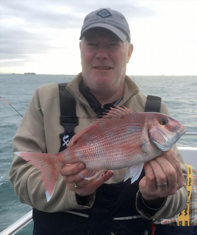 2 lb Couch's Sea Bream by Kev Lee