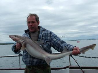19 lb 1 oz Smooth-hound (Common) by Ken Costello