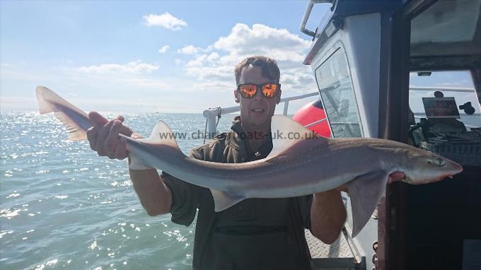 7 lb 3 oz Starry Smooth-hound by Paul from Dover