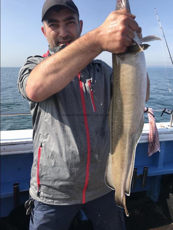 8 lb Ling by Marios wreck fishing aboard heidi j