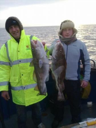 11 lb Cod by Unknown