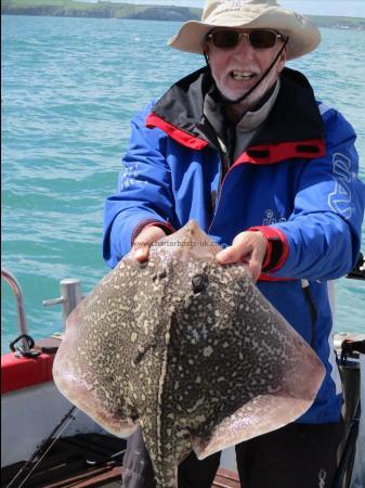 6 lb Thornback Ray by bob