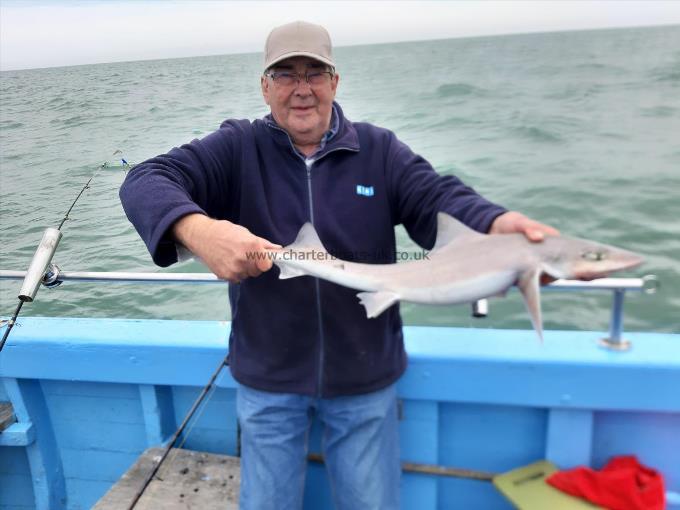 6 lb Smooth-hound by John