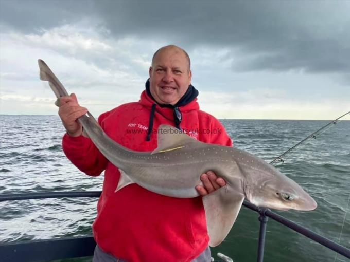 16 lb Starry Smooth-hound by Jason Mann