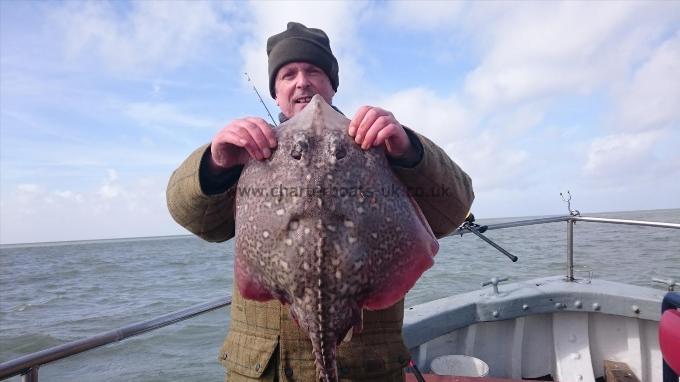 9 lb 6 oz Thornback Ray by Michael from London