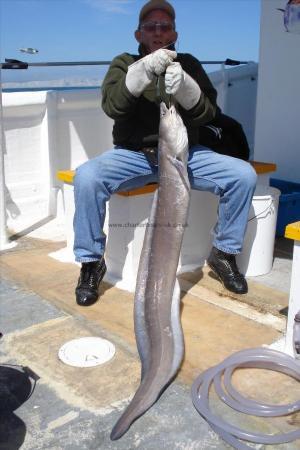 55 lb 8 oz Conger Eel by Mel