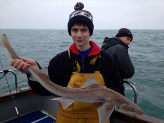 7 lb Starry Smooth-hound by Ryan Casey