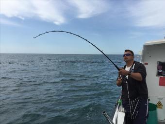 46 lb Conger Eel by Dave Colcough