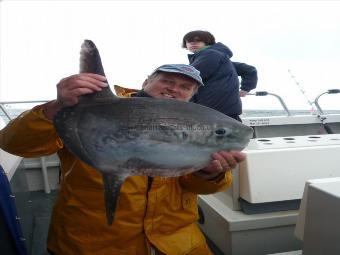 15 Kg Sunfish by Unknown