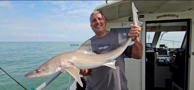 12 lb 2 oz Starry Smooth-hound by Ray
