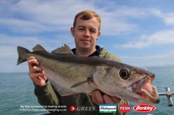 7 lb Pollock by Dave