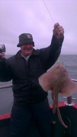 3 lb Spotted Ray by Unknown