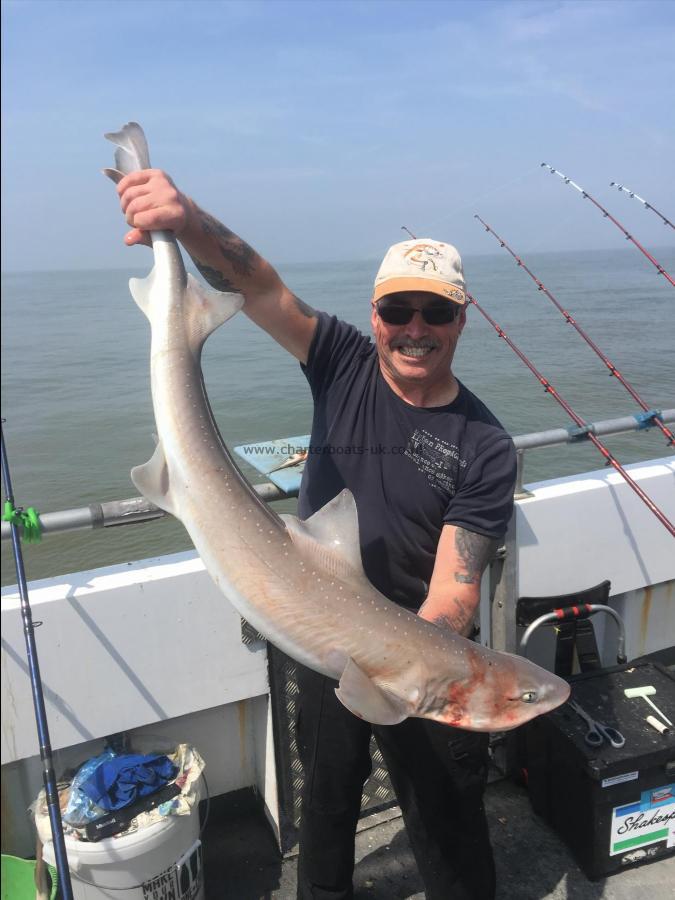 15 lb Starry Smooth-hound by Unknown