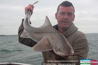 7 lb Starry Smooth-hound by David