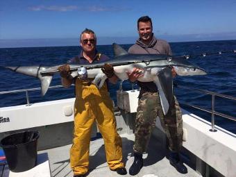 150 lb Blue Shark by Phil Rogers