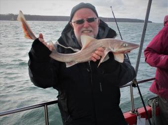 3 lb 8 oz Starry Smooth-hound by Unknown