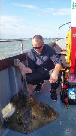 60 lb Stingray (Common) by Skipper