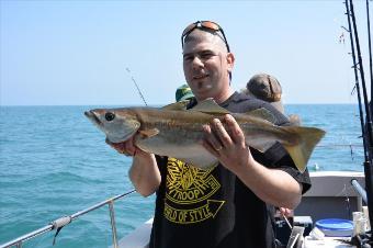 5 lb 8 oz Pollock by Stephen Wake