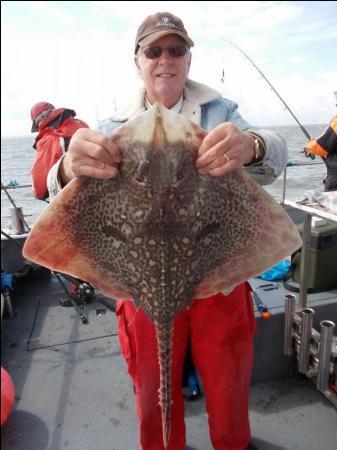 14 lb 5 oz Thornback Ray by Roger Chase