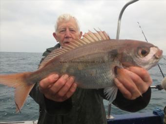 2 lb 2 oz Red Sea Bream by Tommy Tucker