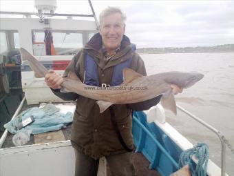 14 lb Starry Smooth-hound by lennie