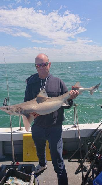 17 lb Smooth-hound (Common) by Terry