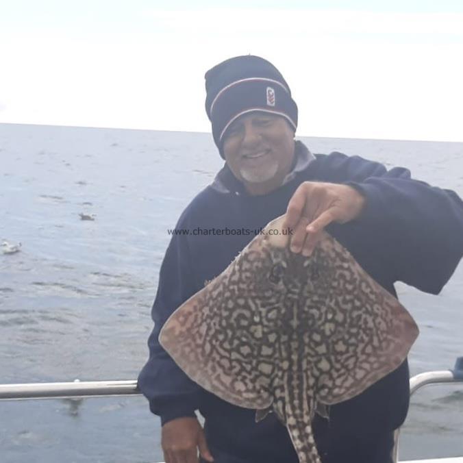 6 lb Common Skate by Unknown