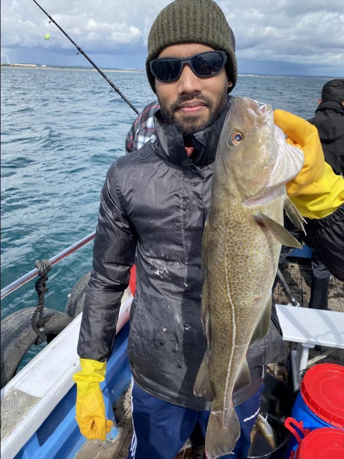 6 lb Cod by Moynul from Burnley cod catching