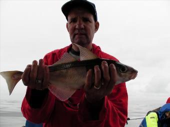 2 lb 2 oz Haddock by Pete Rose