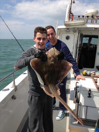 16 lb Undulate Ray by Unknown