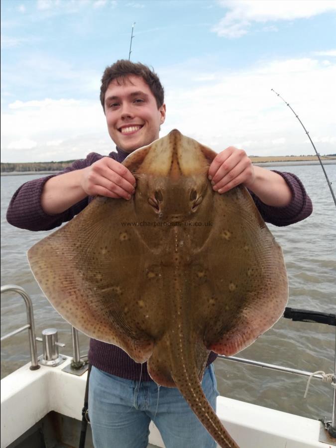 16 lb Blonde Ray by Unknown