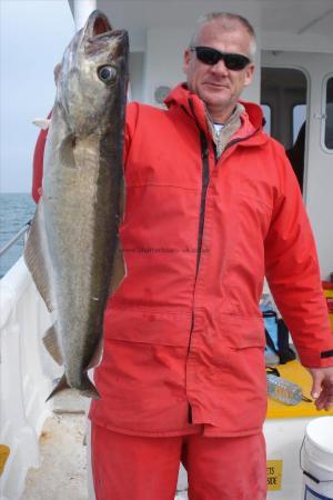 14 lb 10 oz Pollock by Keith's mate