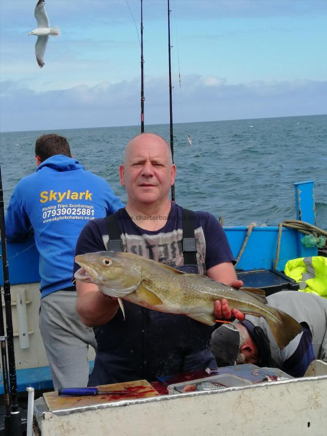 7 lb Cod by Unknown