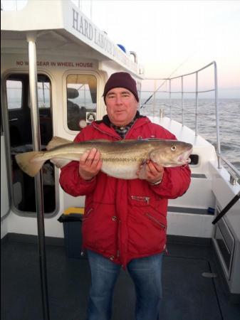 10 lb 8 oz Cod by richard lambert