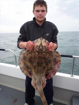 14 lb 8 oz Undulate Ray by Jason Eames