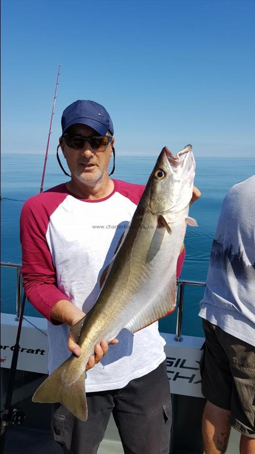 10 lb 10 oz Pollock by Brian