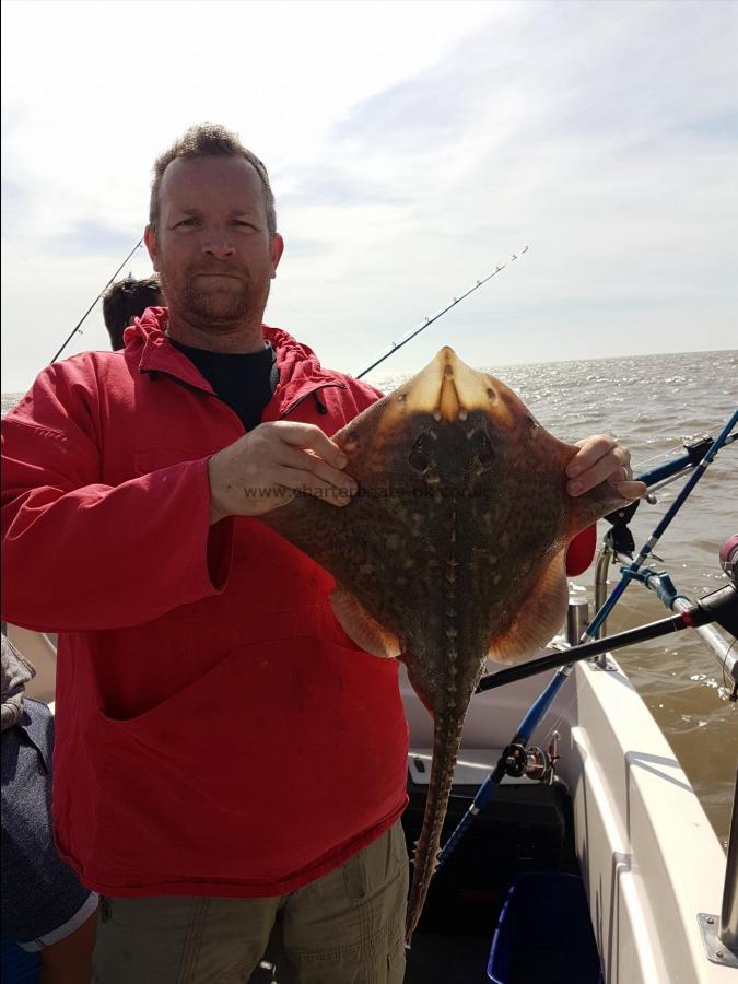 3 lb Thornback Ray by Unknown