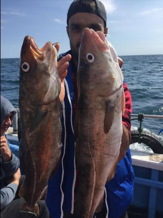 8 lb Cod by tomas  from nottingham 2nd sept