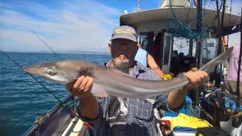 9 lb Smooth-hound (Common) by Stephen Wake