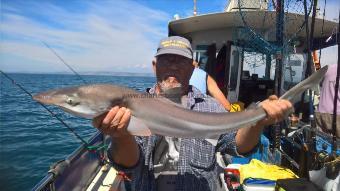 9 lb Smooth-hound by Stephen Wake