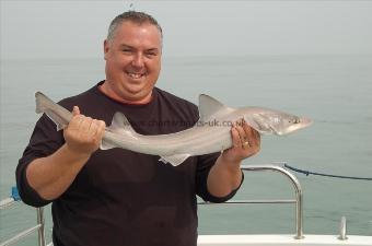 8 lb 4 oz Smooth-hound (Common) by Unknown