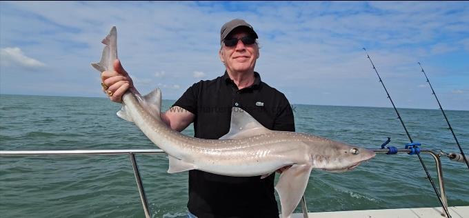 13 lb 12 oz Starry Smooth-hound by Paul