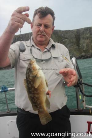 2 lb Ballan Wrasse by Keith