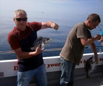 2 lb Black Sea Bream by Unknown